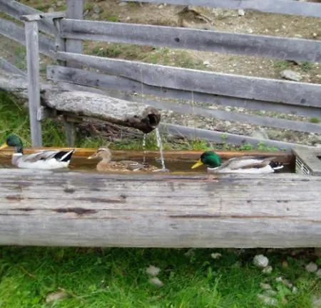 Reitlehenalm アルテンマルクト・イム・ポンガウ