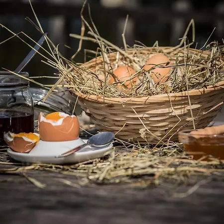 Gæstehus Reitlehenalm 3*