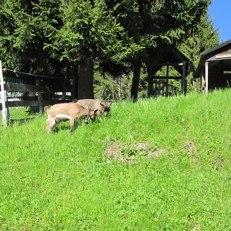 Reitlehenalm Гостевой дом 3*