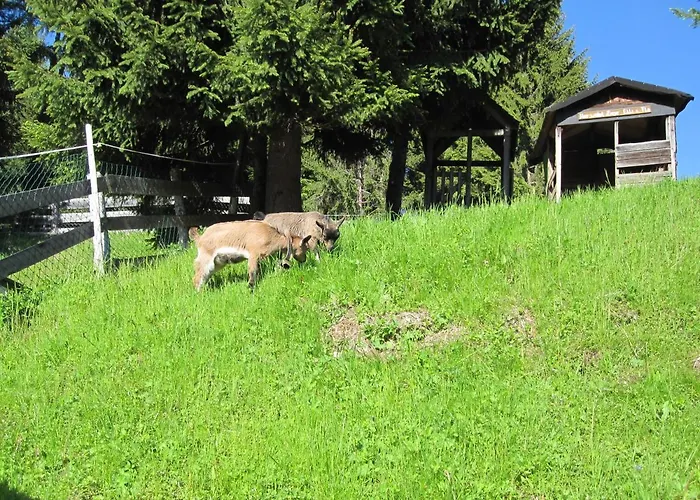 Reitlehenalm Vendégház 3*